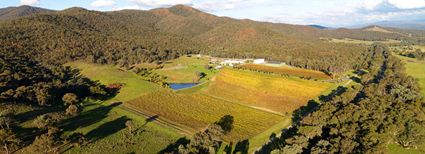 Gapsted Winery - VIC (PBH3 00 34231)